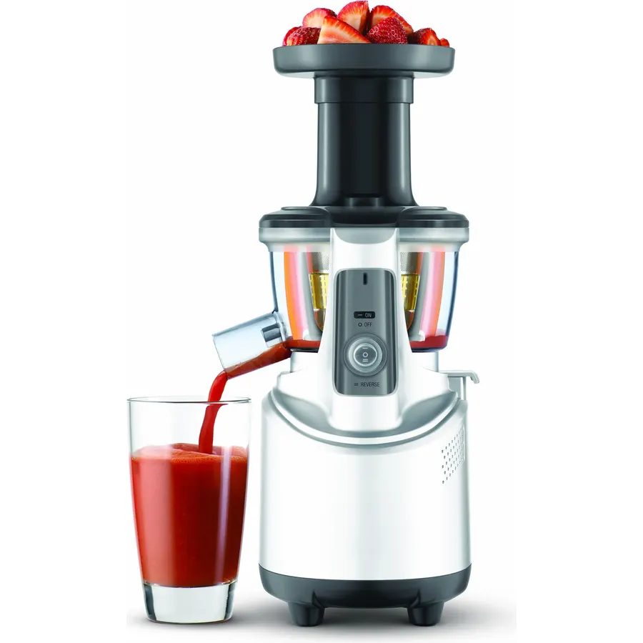 Breville BJS600XL Fountain Crush Masticating Slow Juicer