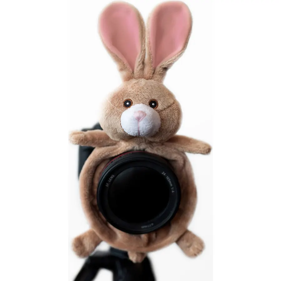 BUN001 Camera Lens Stand (Brown)