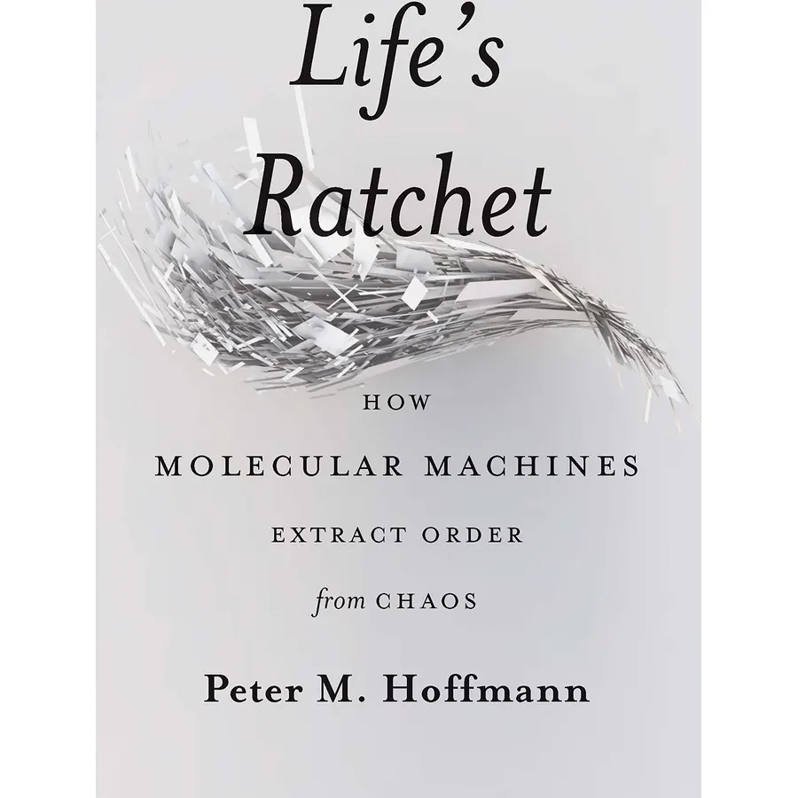 Life's Ratchet: How Molecular Machines Extract Order from Chaos